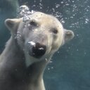 Michael Storer - @1michaelstorer - Twitter