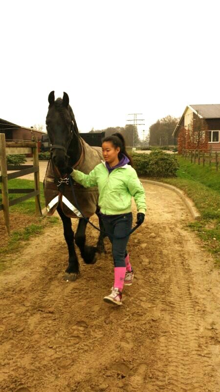 Intern at Adelinde Cornelissen