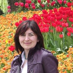 Sosyal Hizmet YL, Psikolog
