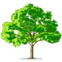 Creating Community Change