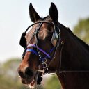 Jan Farrington - @JanFarrington - Twitter