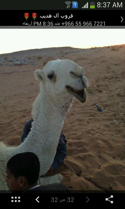 لا الهه الا الله استغفر الله واتوب اليه