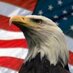 Operation Wounded Warriors, Inc. (@opwoundedwarrio) Twitter profile photo