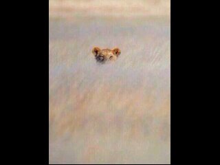 Getoverit1313's profile picture. I ♥ Christian Grey