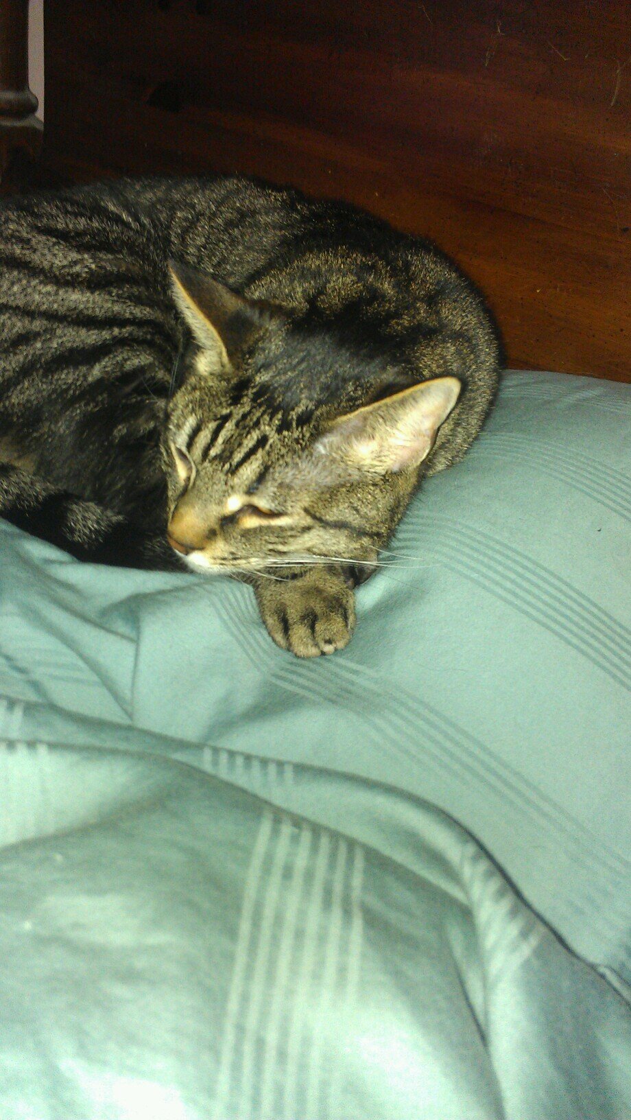 marilyns7213's profile picture. 