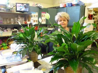 ksramsey211's profile picture. We offer a wide assortment of fresh flowers & gifts. Making your occasions memorable with quality, value and professional service. (615) 868-2696