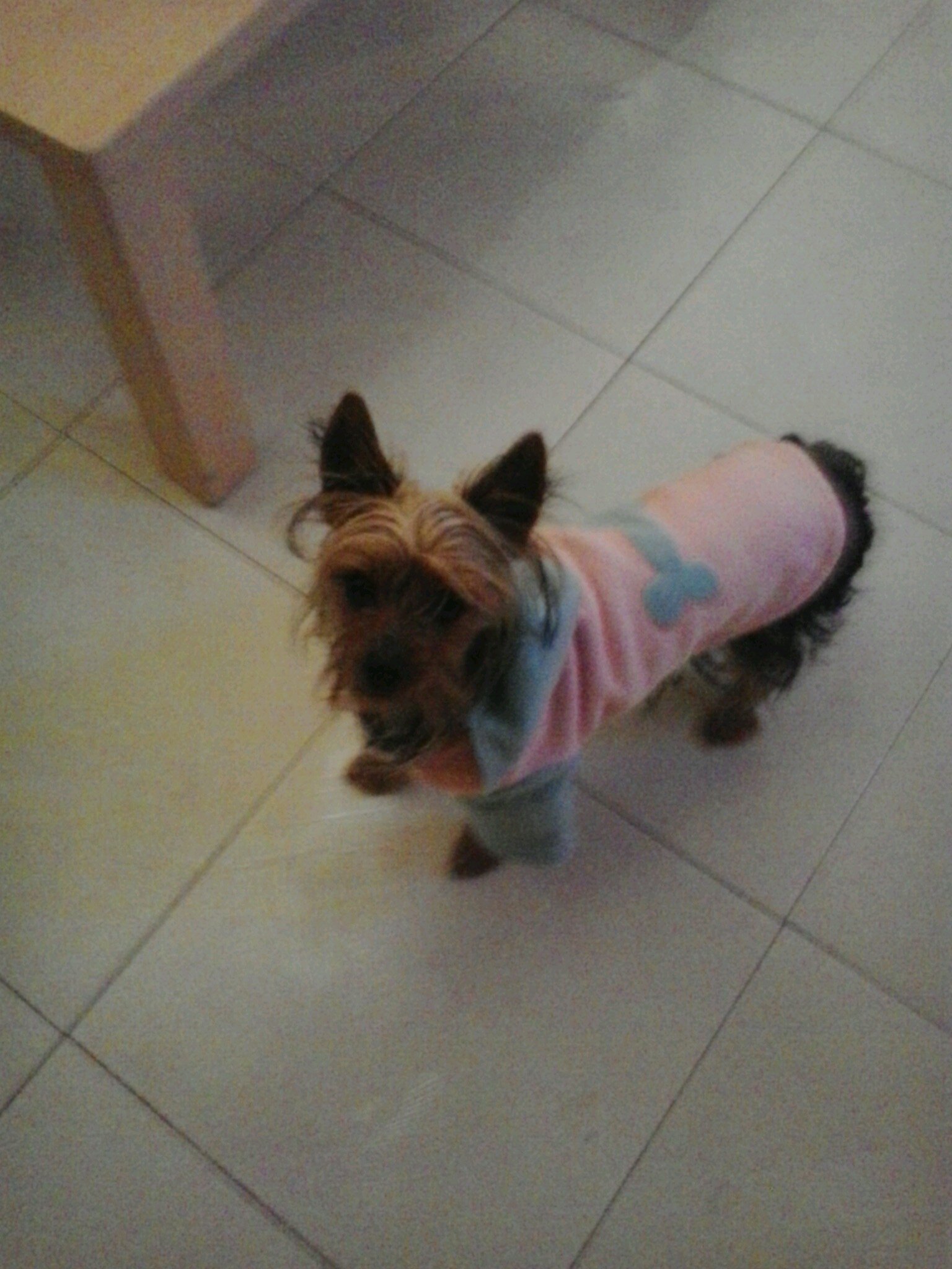 Te necesito a mi lado para ser feliz..! Te Amo  ;)
