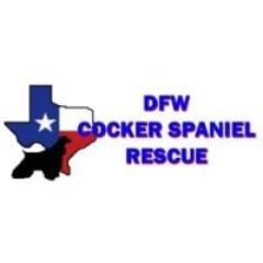 Info about the sweetest dogs in the world and organization activities.  Get to know us!
