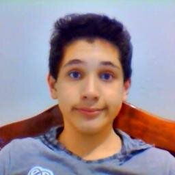 Twitter é essa gaiola em que um único passarinho conseguiu prender milhões de humanos.