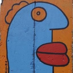 wencuf's profile picture. 