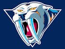 Nashville Predators, NHL, Hockey. This is an independent twitter account by fans, for fans.