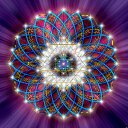 Elliot Aronson - @bonuspoeta - Twitter