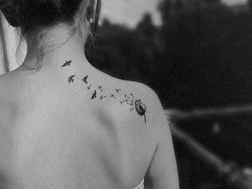 Une vie comme une autre faite de pensées... ♥
Follow me and I will follow you ♥