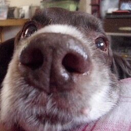 EvieM908's profile picture. Parent;  Wife; Christian;