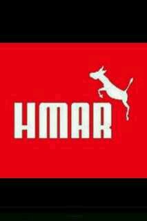 SoSomalien's profile picture. 