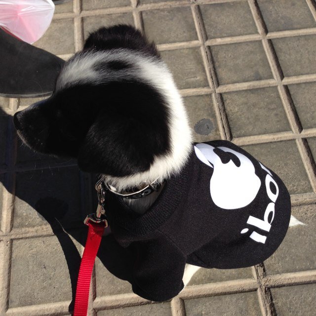 Jona_Alcaraz's profile picture. Ingeniero experto en botanica y papiroflexia.