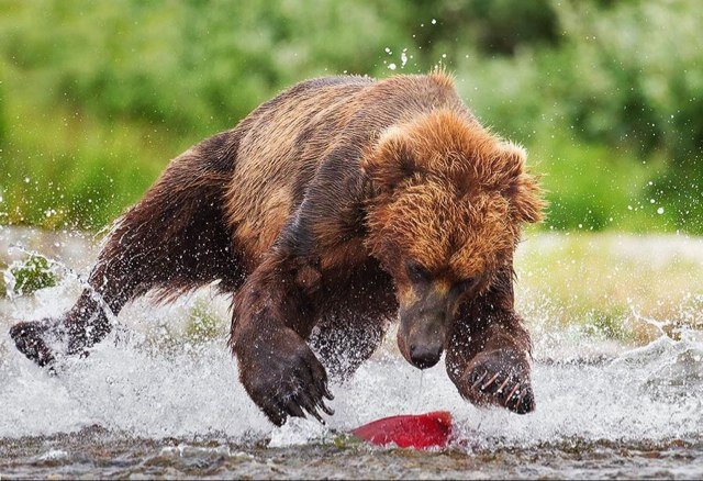 CoachMjelva's profile picture. 