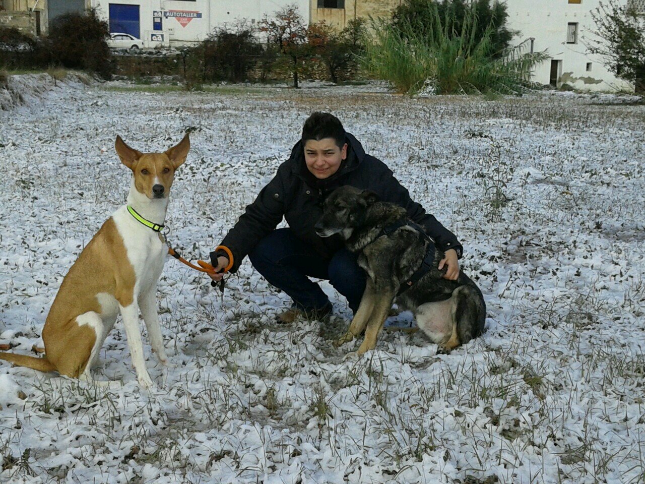 ig_1987's profile picture. 