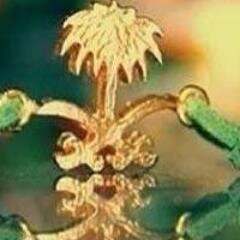 ‏سبْحانَك اللَّهُمّ وبحَمْدكَ أشْهدُ أنْ لا إله إلا أنْت أسْتغْفِركَ وَأتَوبُ إليْك