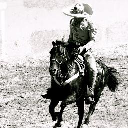 100% ██████████ Aficionado a la ςнαяяєяια !!!
