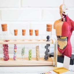 Beaulieu Natural Health Clinic #NewForest #Hampshire Nutrition Fitness Fertility Digestion Healthy Weight Diet Nutritionist @NutritionistW1 Nutrional Therapy