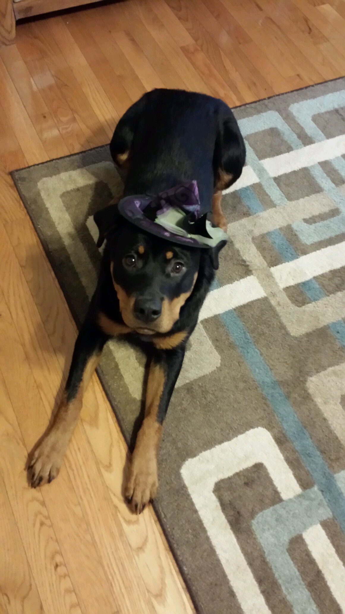 AshtonBrakebill's profile picture. 