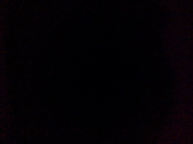 hayley_chesson's profile picture. 