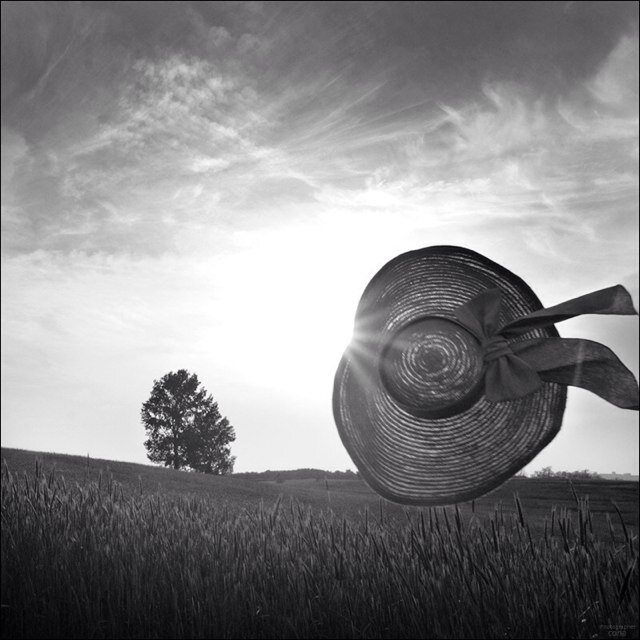 cona8710's profile picture. 사진,바이올린,자전거타기, 애니메이션보기... *^^* 가장 중요한 것은 눈에 보이지 않아. 오직 마음으로 보아야 볼수 있어~ 언제나...cona