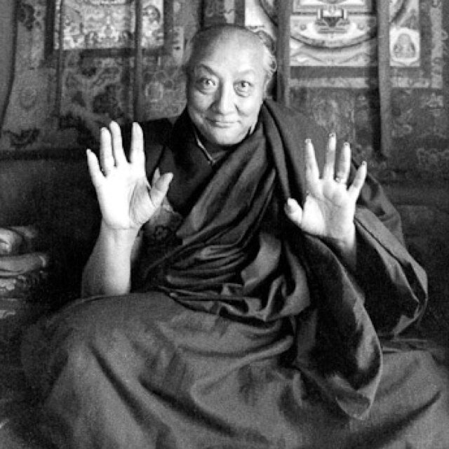 OselDharma's profile picture. Absolute beginner.