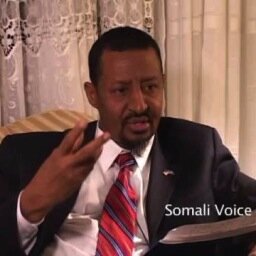 Somali American Peace Council has the objective of bringing about peace by helping youth through sports activities in Somalia and other projects #somalia #peace