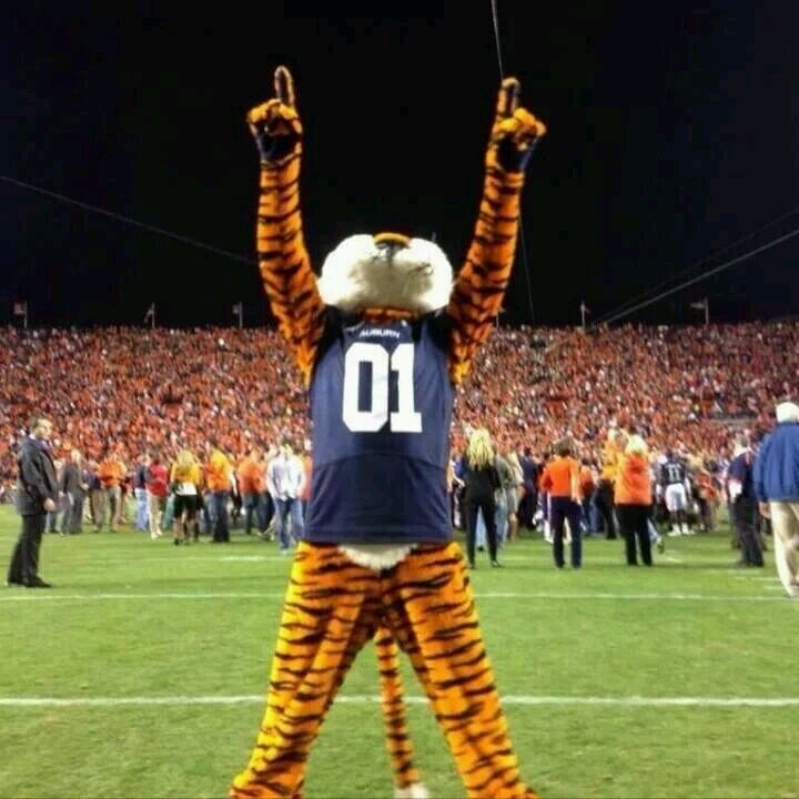 hdog30's profile picture. 