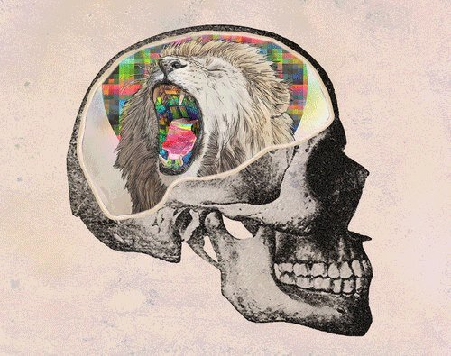 Indigo soul x Freelance astronaut x Producer - Spreading truth / wandering the universe in my mind