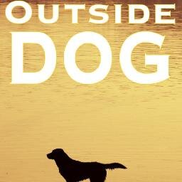 TweetOutsideDog's profile picture. 