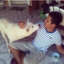 daniel lins - @Daniel1lins - Twitter