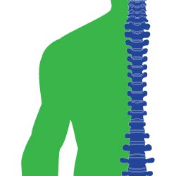 Chiropractic Website Designs That Attract Patients