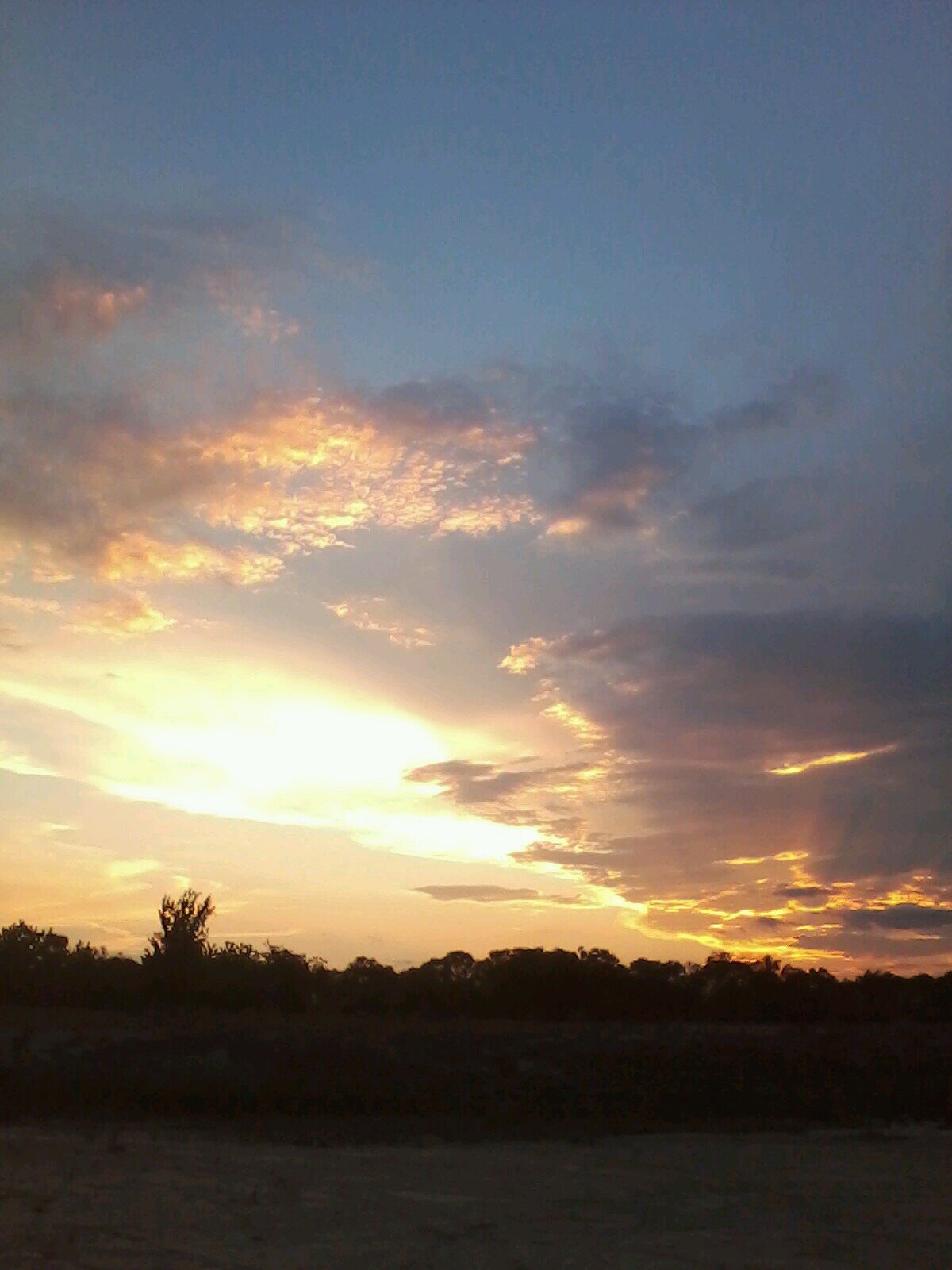 DRawtomato's profile picture. Musician/Artist/Painter...follower of Jesus Christ the annointed one