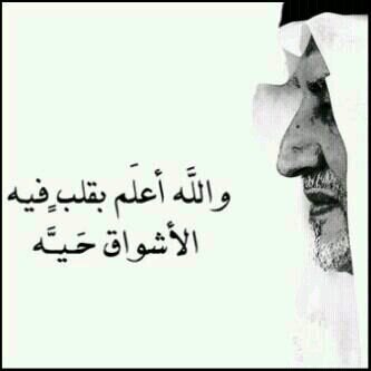 سُبحان ﷲ.
- الحمد للّٰه.
- لا إله إلا ﷲ.
- ﷲ أكبر.
- سُبحان ﷲ وبحمده.
- سُبحان ﷲ العظيم.
- أستغفر ﷲ وأتوب إليه.
- اللهم صل وسلم على نبينا محمد.
.
. 
. 
. 
. 
.