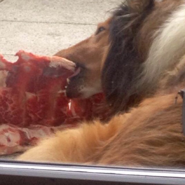 crossblade1301's profile picture. 