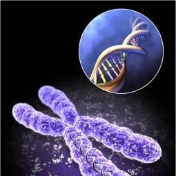 ProductBInfo's profile picture. 