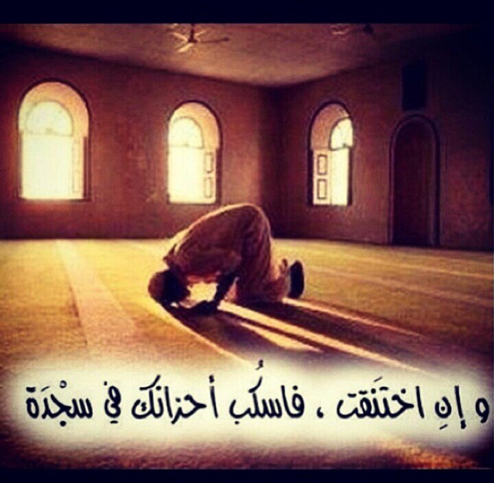 ﴿ وجاءت كل نفس معها سائق وشهيد ﴾ سائق يسوقها إلى الله ، و شاهدٍ يشهد بما عملت .. فـ آعمل ليوم لاينفع فيه لا مال ولا بنون 💭✨