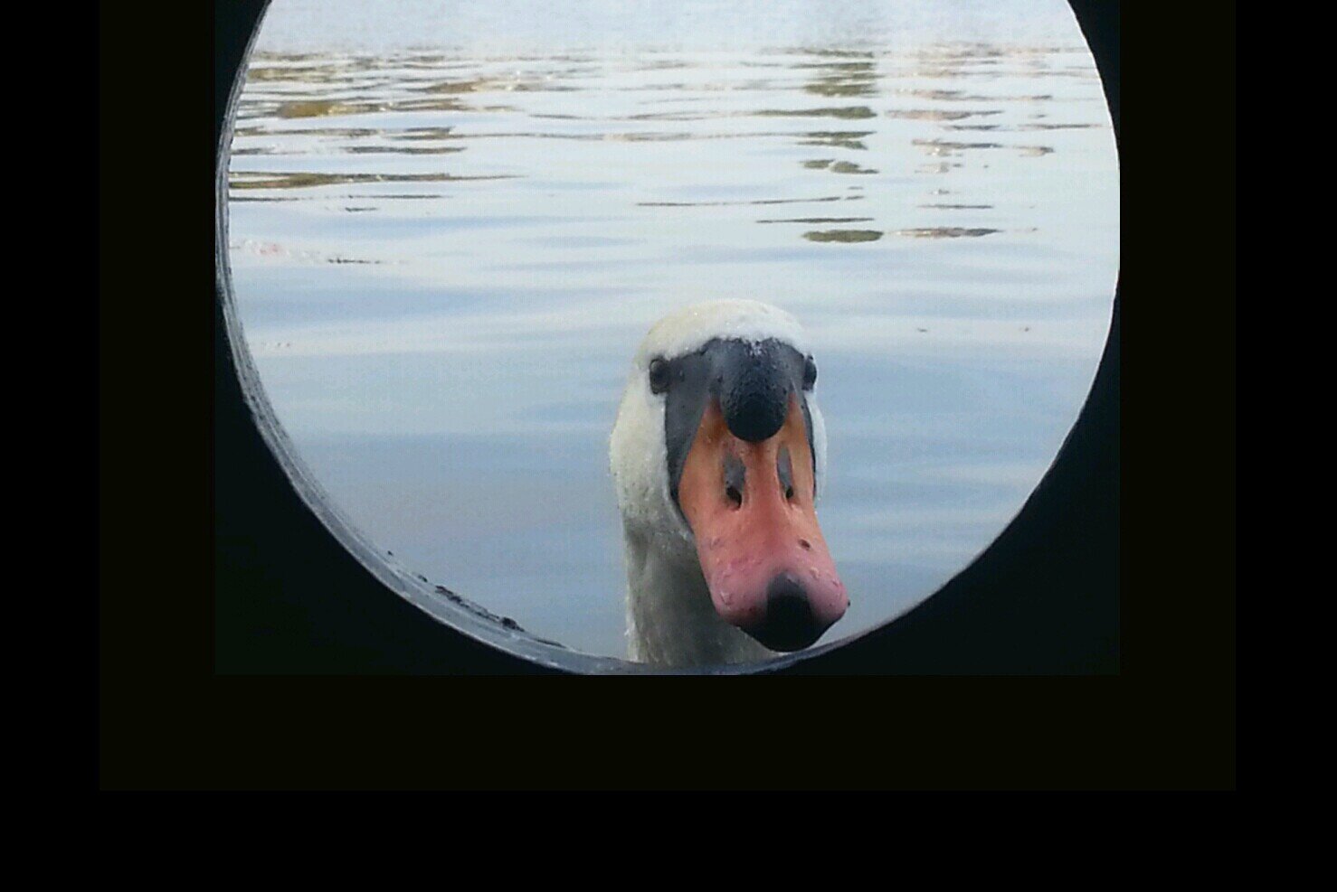 reijko's profile picture. nix Interessantes