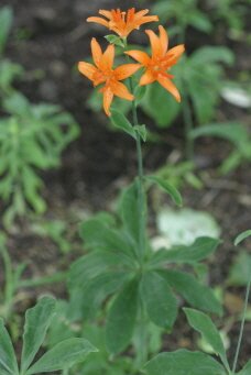 junghh36's profile picture. 즐기라 몸 맘 건강히 (골프,탁구,당구,읽기,걷기)