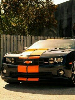 rkarasyov999's profile picture. 