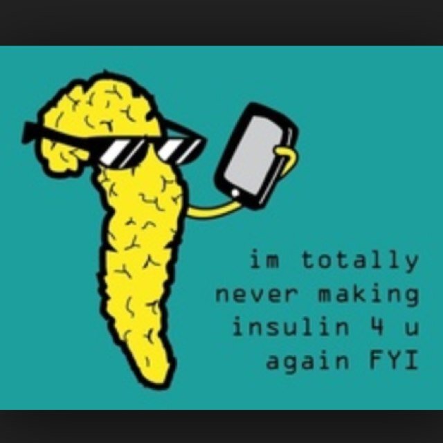 t1Diabadasses's profile picture. Because having a working pancreas is too mainstream. The struggle is real. #T1D #FindACure
