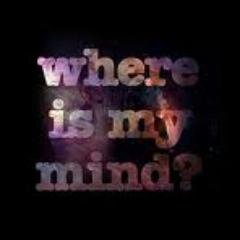I'm just another girl, trying to make it in this big, bad world. *I FOLLOW BACK*