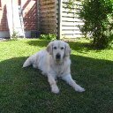 Lars Juul Jensen - @Juul1609Juul - Twitter