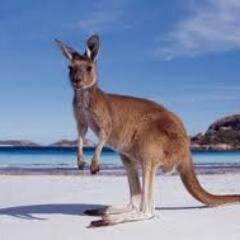 http://t.co/36zXiPVLDS is a not profit public information site about Working Holiday Visas