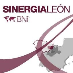 Grupo de empresas leonesas comprometidas con la innovación, la calidad y la atención personalizada al cliente #Leonesp #Sinergías