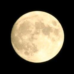 meishin00's profile picture. 昔からよくある迷信・ジンクス・言い伝え、その由来など呟いていきます