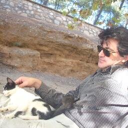 m_bonet_safont Profile Picture